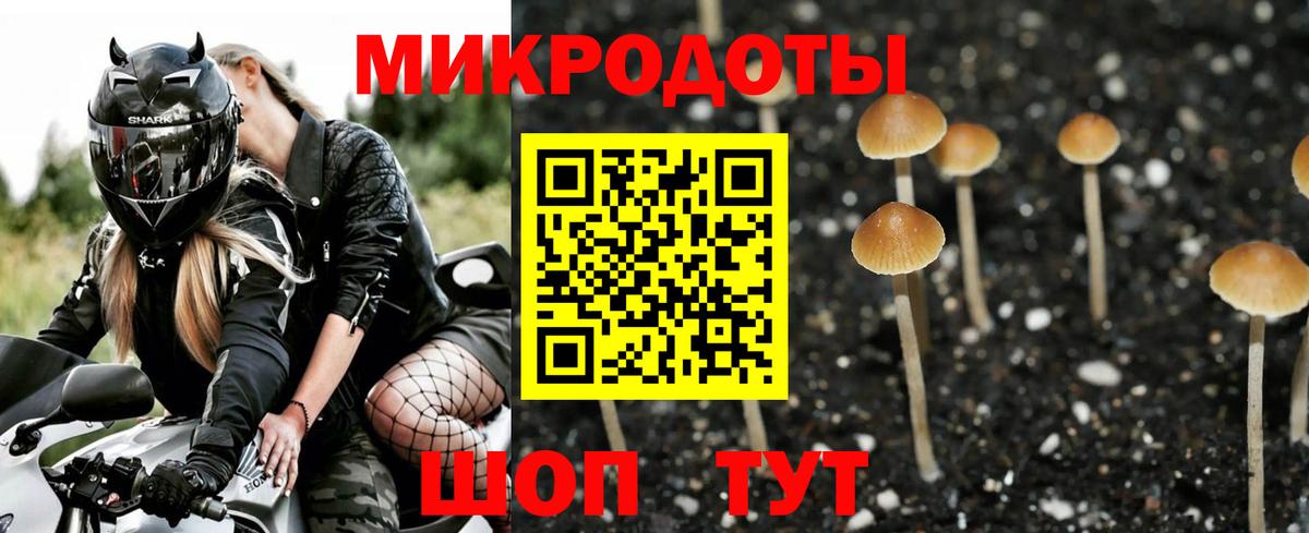 Костомукша  Галлюциногенные грибы ЛСД  Вход с VPN 